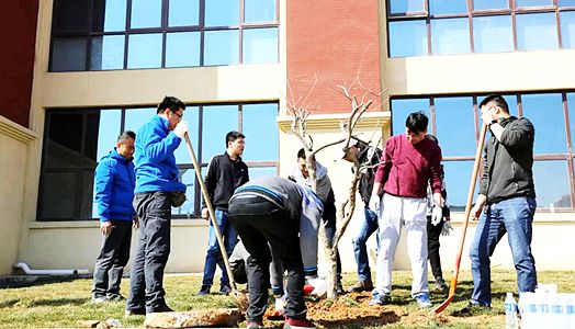 2019年尊龙凯时实业集团植树运动