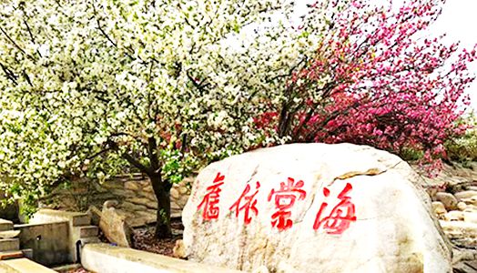 尊龙·凯时(官网)人生就是博!