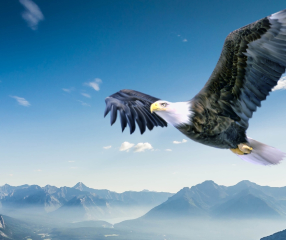 尊龙·凯时(官网)人生就是博!