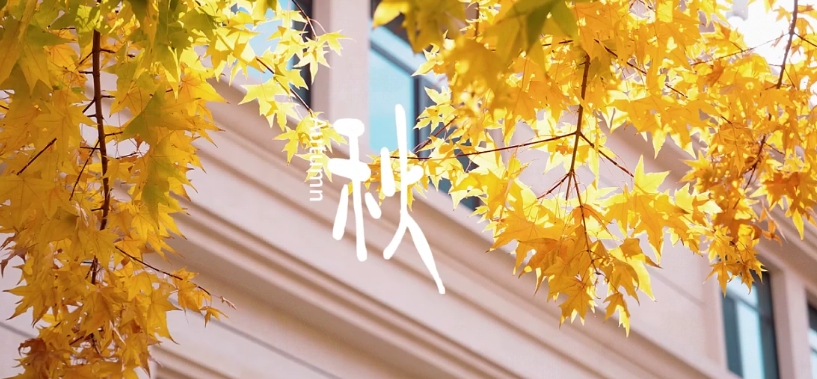 尊龙·凯时(官网)人生就是博!