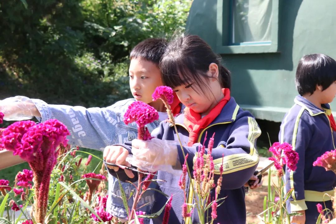 尊龙·凯时(官网)人生就是博!