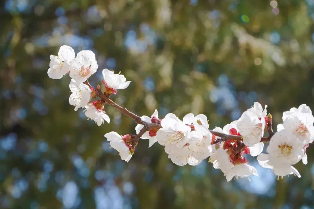 尊龙·凯时(官网)人生就是博!