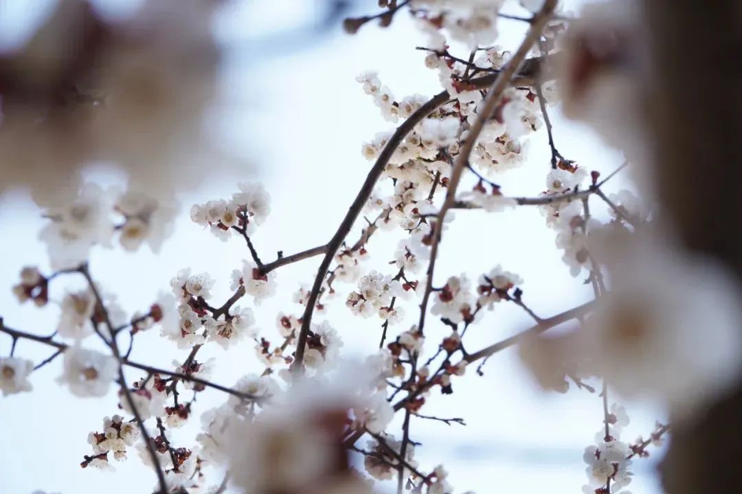 尊龙·凯时(官网)人生就是博!