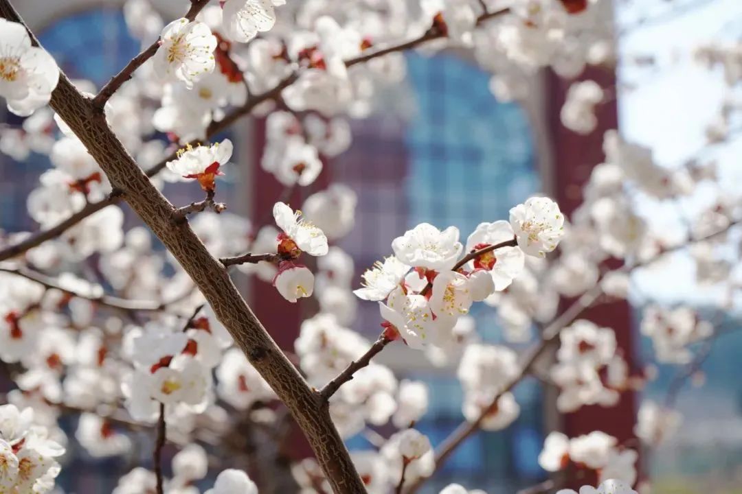 尊龙·凯时(官网)人生就是博!
