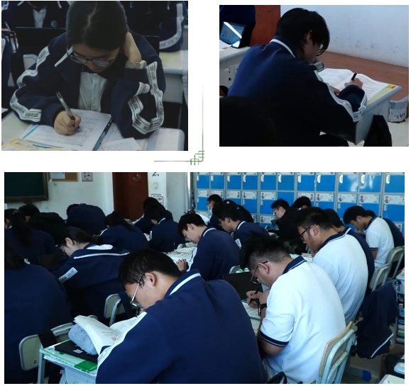 尊龙·凯时(官网)人生就是博!