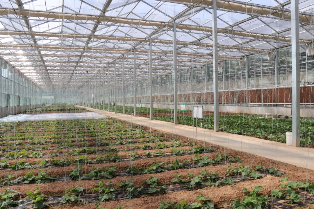 尊龙·凯时(官网)人生就是博!