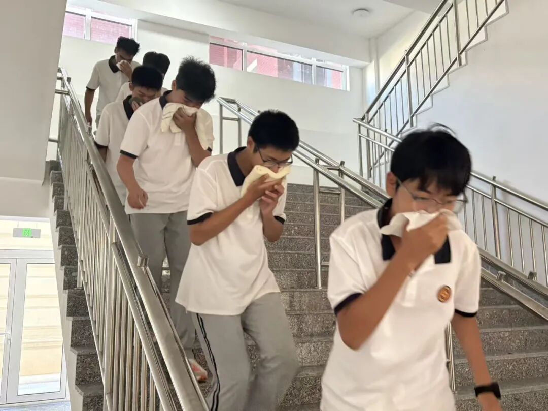 尊龙·凯时(官网)人生就是博!