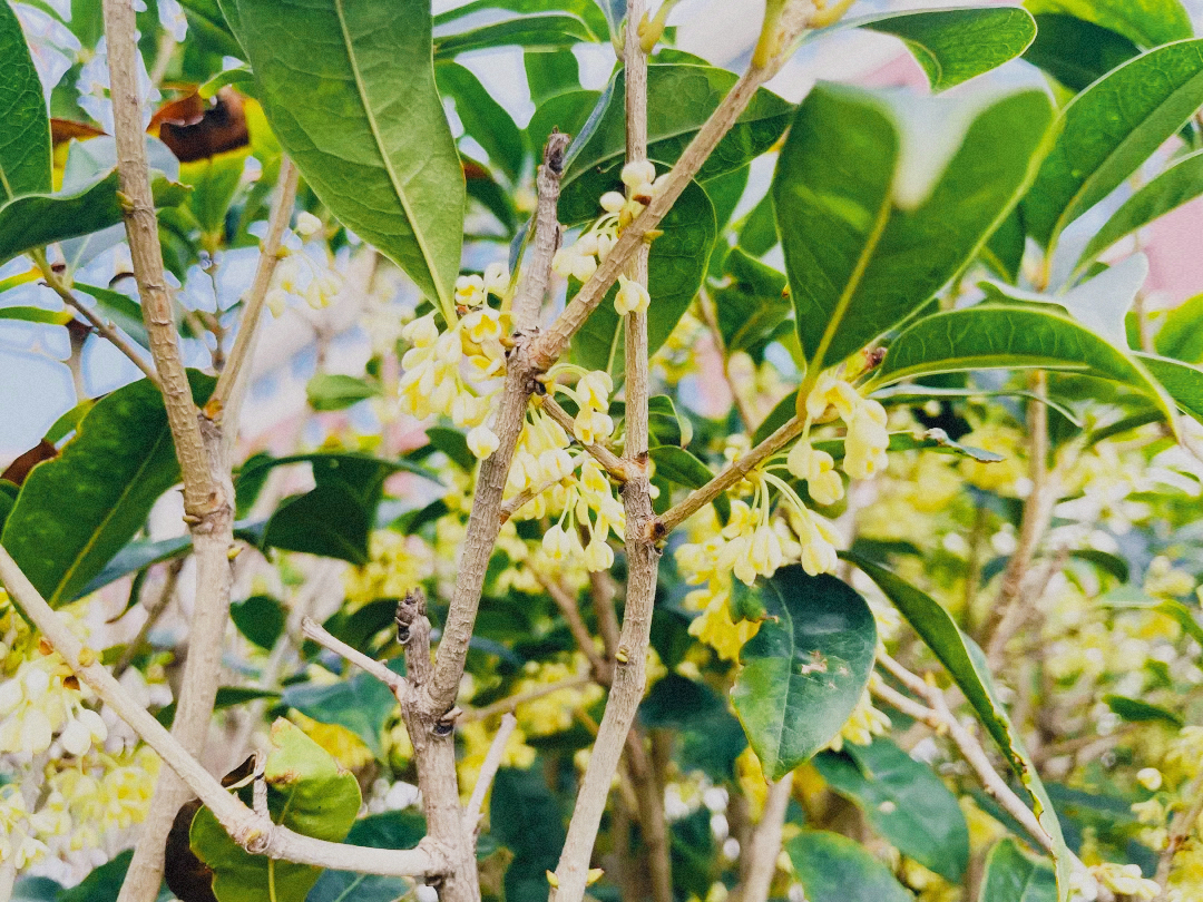 尊龙·凯时(官网)人生就是博!