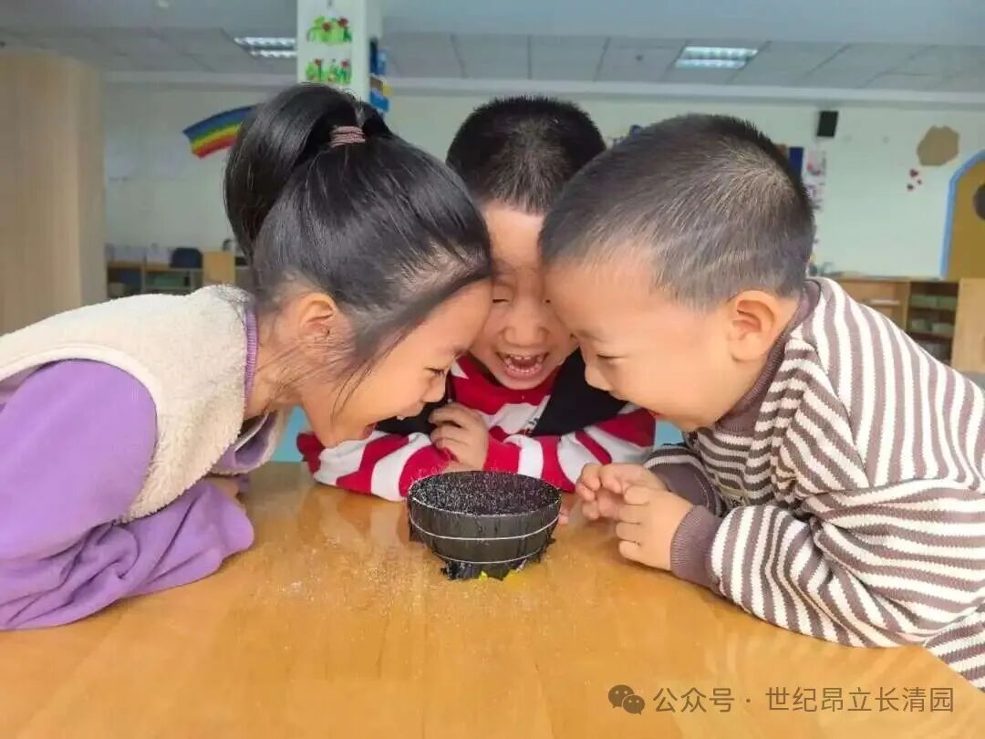 尊龙·凯时(官网)人生就是博!